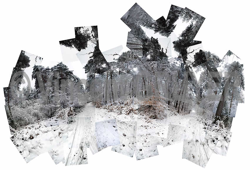 Photographie artistique La Pomme sous la neige - 71 / 4.28&deg;- 45.12&deg; / 27.12.2004 / 11h48 -11h56 T.U. - La Pomme - 43190 Tence - D&eacute;partement de la Haute-Loire - R&eacute;gion auvergne - Massif central France - Europe - H&eacute;misph&egrave;re nord - Terre - Syst&egrave;me solaire - Voie Lact&eacute;e.
