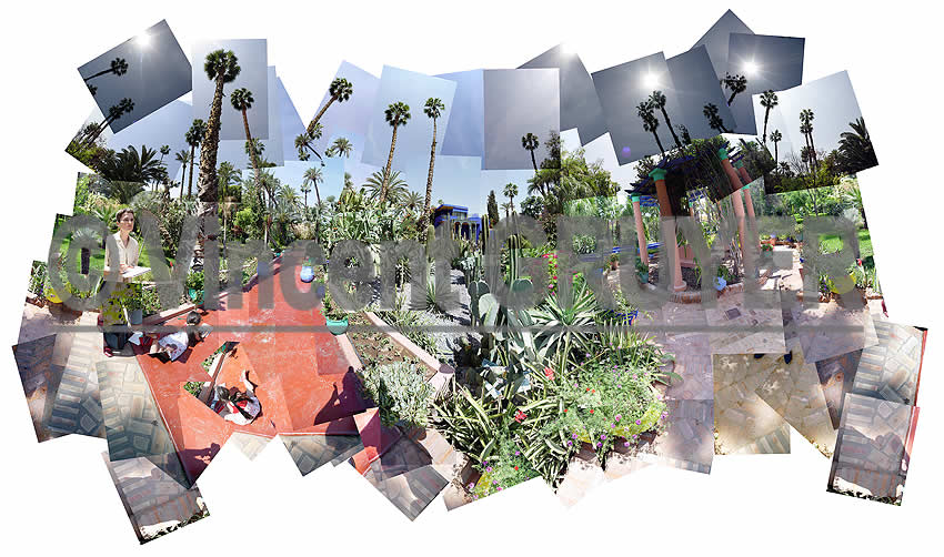Photo panoramique du jardin de la maison Majorelle &agrave; Marrakech