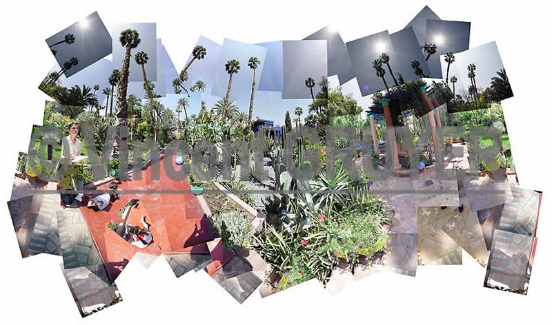 photo artistique et panoramique : le jardin de la maison Majorelle à Marrakech au Maroc. 95 / 31.37°N - 8.02° O / 25.04.2005 / 11H06 - 11H25 T.U. Le jardin de la maison Majorelle – Maison Majorelle - Boulevard Safi – Quartier de Guéliz - Marrakech - Maroc - Afrique - Hémisphère nord - Terre - Système solaire - Voie Lactée.